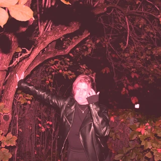 Whalesharkattacks Music For Pink Nights (MC)