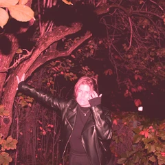 Whalesharkattacks Music For Pink Nights (CD)