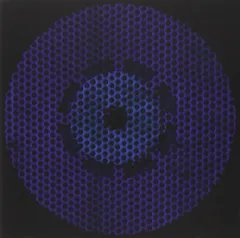 The Knife Silent Shout (2LP)