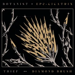 Botanist/Thief Cicatrix/Diamond Brush (LP)