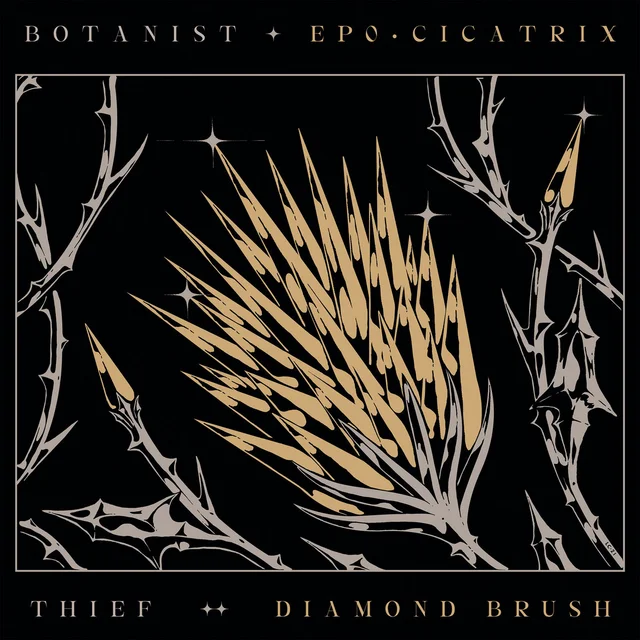 Botanist/Thief Cicatrix/Diamond Brush (LP) 