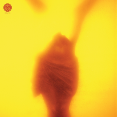 Massimo Pupillo/Marton Csokas/Gabriele… Embracing The Ruins - LTD (LP)