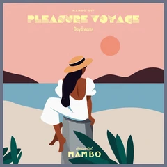 Pleasure Voyage Daydreams (LP)