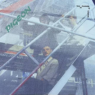 Pigeon Deny All Knowledge Of Complicity (LP)