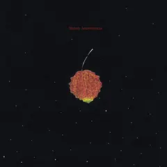Malady Ainavihantaa - LTD (LP)