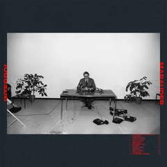 Interpol Marauder - LTD (LP)
