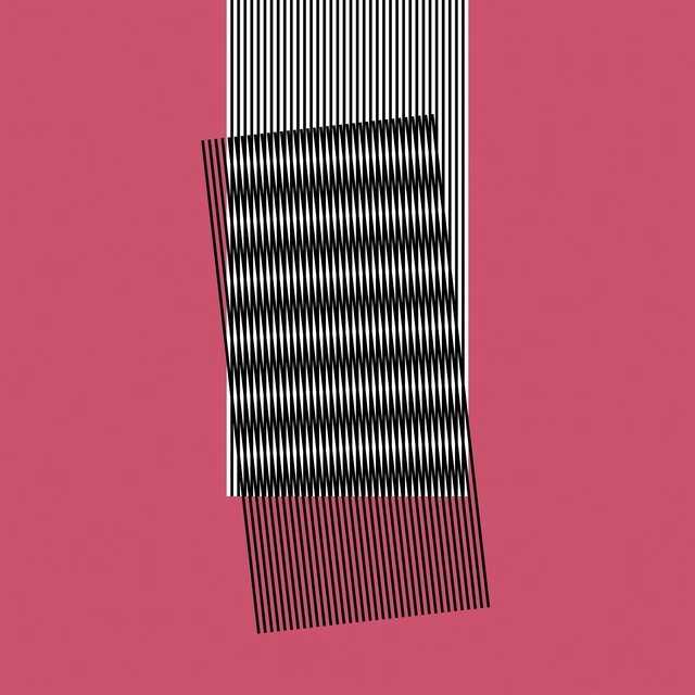 Hot Chip Why Make Sense? (CD) 