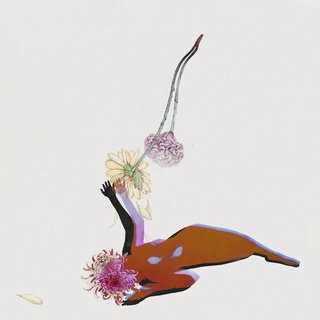 Future Islands The Far Field (CD)