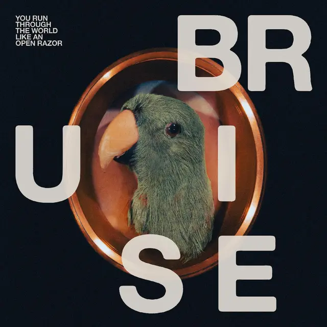 Bruise Blood You Run Through The World Like An… (LP) 