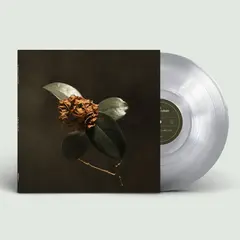 St. Paul &amp; The Broken Bones Young Sick Camellia - LTD (LP)