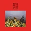 Bonnie 'Prince' Billy I Made A Place (LP)