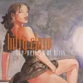 Biffy Clyro The vertigo of bliss (CD)