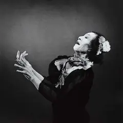 Antony &amp; The Johnsons The Crying Light (CD)