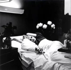 Antony &amp; The Johnsons I'm A Bird Now (CD)
