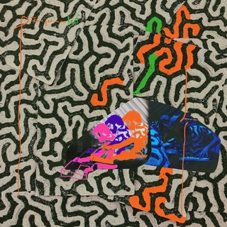Animal Collective Tangerine Reef (CD)