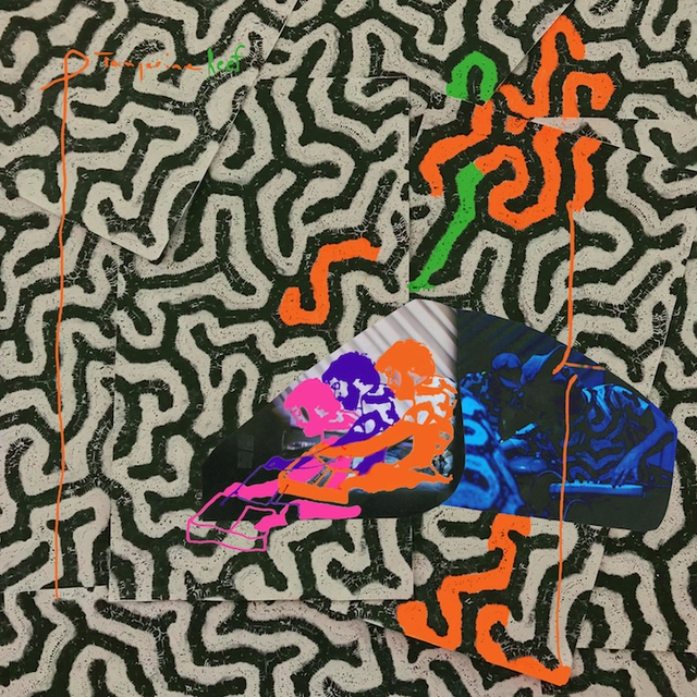 Animal Collective Tangerine Reef (CD) 