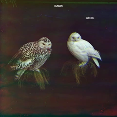 Dungen Häxan (CD)