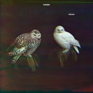 Dungen Häxan (CD)