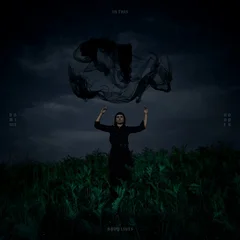 Dominie Hooper In This Body Lives - LTD (LP)