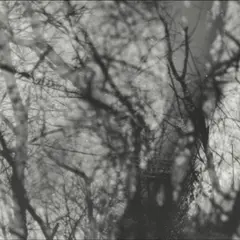 Grouper Way Their Crept (LP)