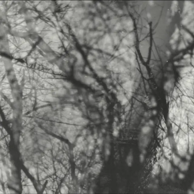 Grouper Way Their Crept (LP) 