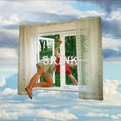 Girl Scout Brink (LP)