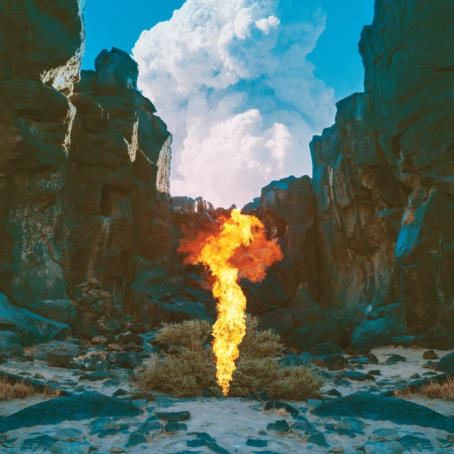 Bonobo Migration (CD) 