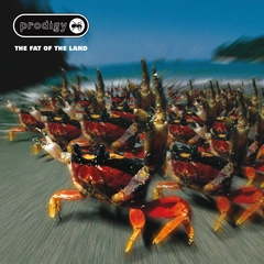 The Prodigy The Fat Of The Land (2CD)