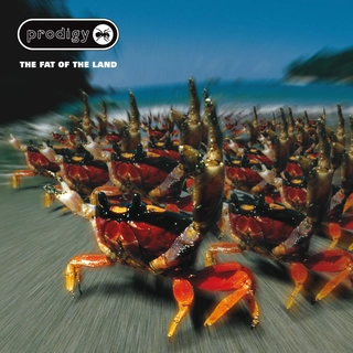The Prodigy The Fat Of The Land (2CD)