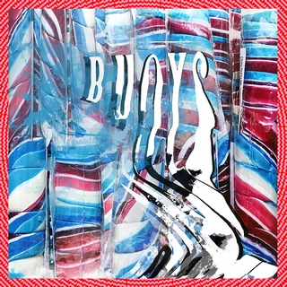 Panda Bear Buoys (CD)