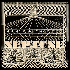 Higher Authorities Neptune (LP)
