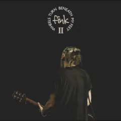 Fink Wheels Turn Beneath My Feet II (2LP)