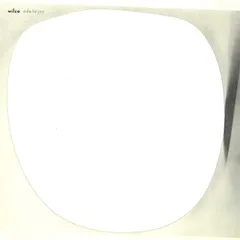 Wilco Ode to Joy (CD)