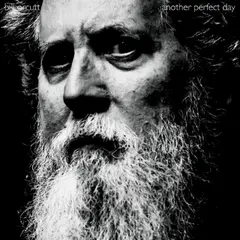 Bill Orcutt Another Perfect Day (LP)