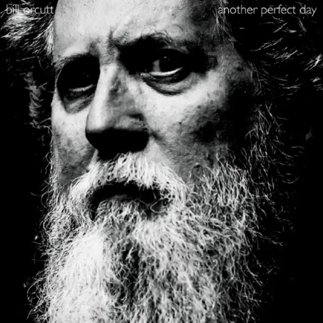 Bill Orcutt Another Perfect Day (LP) 