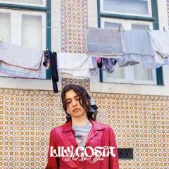 Lily Costa Not Like You (LP)