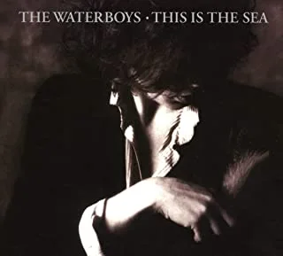 The Waterboys This Is The Sea (2CD)