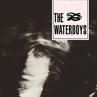 The Waterboys The Waterboys (CD)