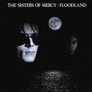 The Sisters Of Mercy Floodland (CD)