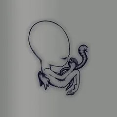 Sigur Rós Ágætis Byrjun: 20th Anniversary (4CD)