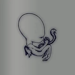 Sigur Rós Ágætis Byrjun: 20th Anniversary (4CD)