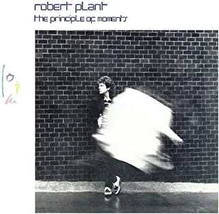 Robert Plant The Principle of Moments (CD)