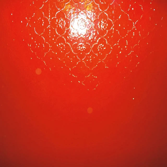 ******** [The Drink] The Drink [********] (2LP) 