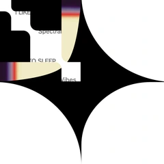 I LIke To Sleep Spectral Vibes (LP)