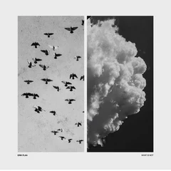 Erik Flaa What Is Not (2LP)