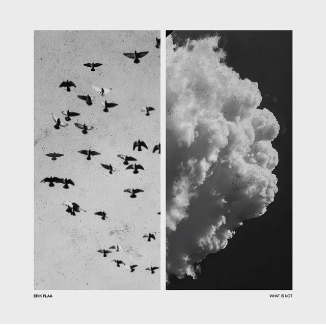 Erik Flaa What Is Not (2LP) 