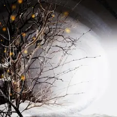 Winterlight Winterlight (2LP)