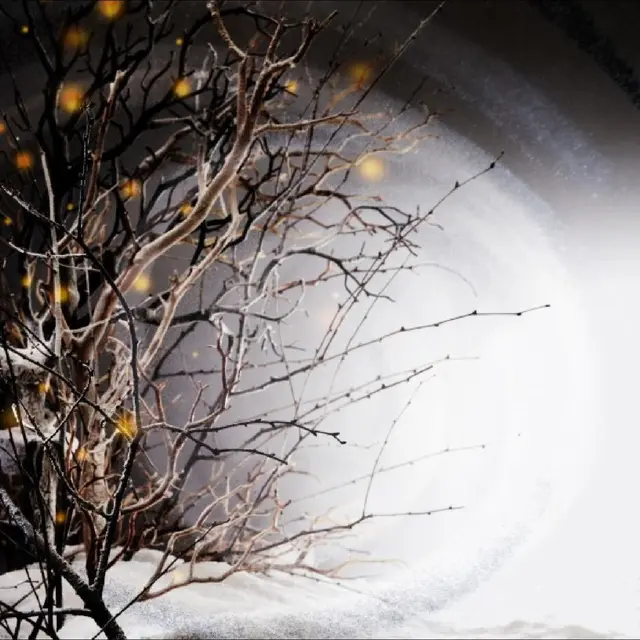 Winterlight Winterlight (2LP) 