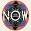 Jacob Karlzon Now (CD)