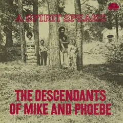 Bill Lee &amp; The Descendants Of Mike And… A Spirit Speaks (CD)